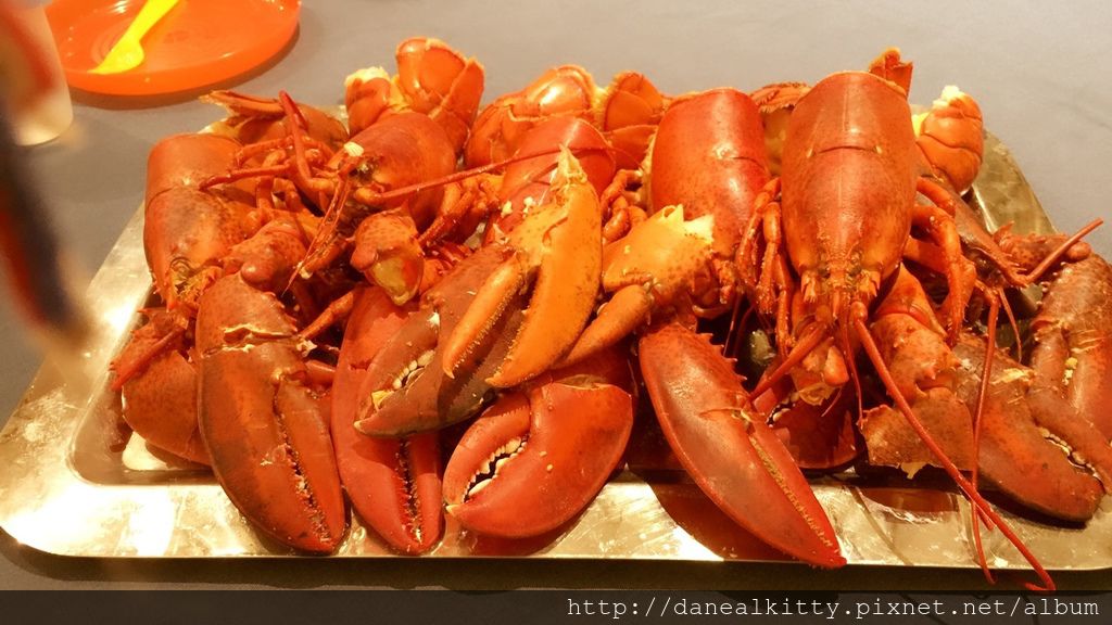 IMG_7120.JPG IMG_7120.JPG