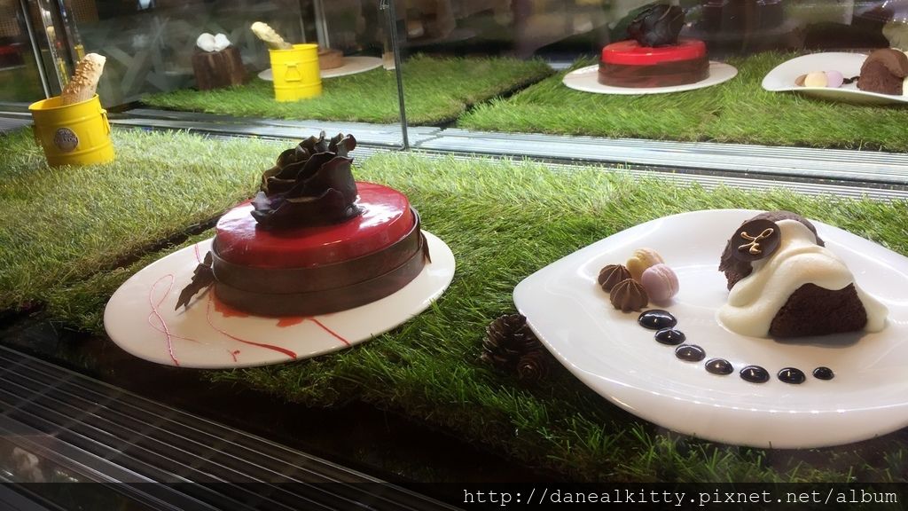 IMG_6386.JPG IMG_6386.JPG