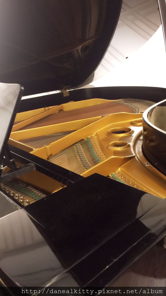 IMG_6441.JPG IMG_6441.JPG