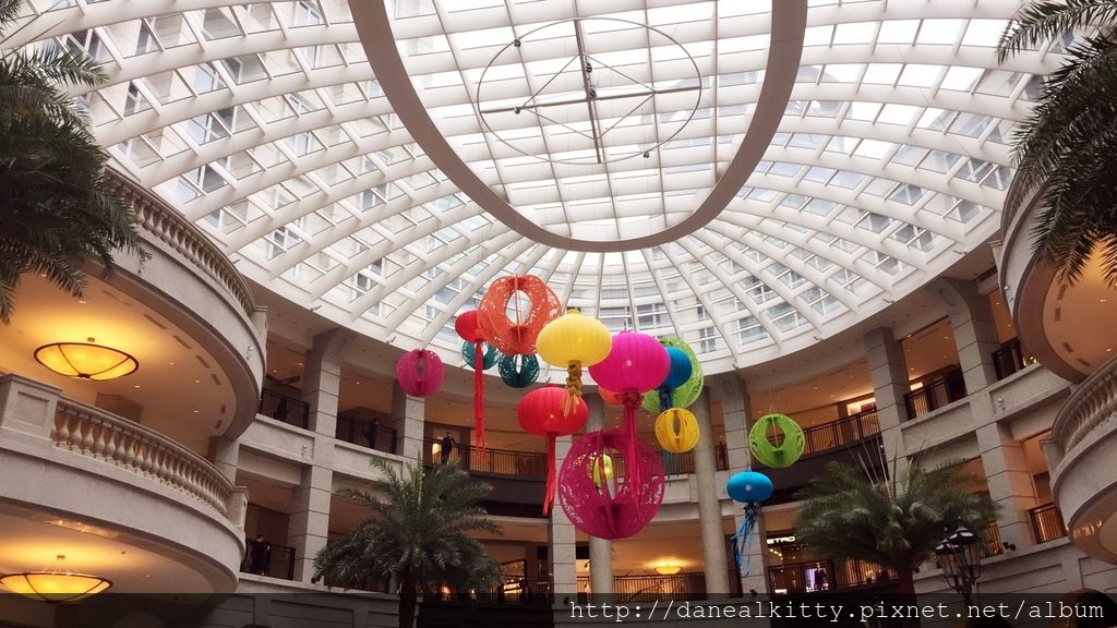 IMG_6452.JPG IMG_6452.JPG