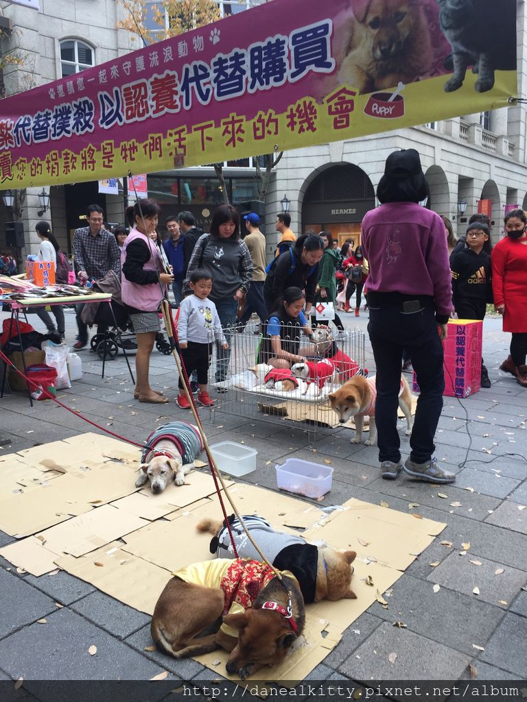 IMG_6469.JPG IMG_6469.JPG