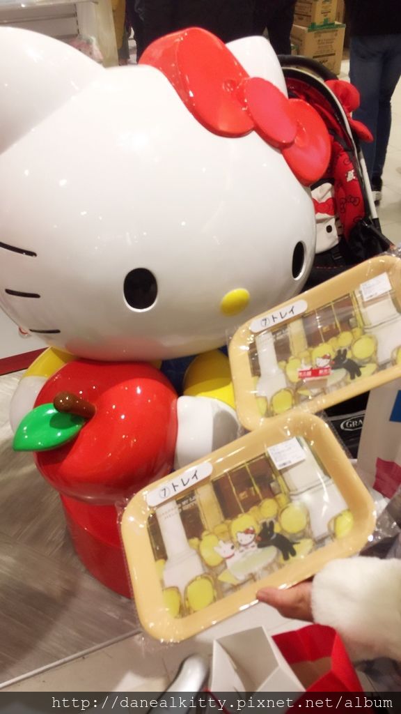 IMG_6484.JPG IMG_6484.JPG