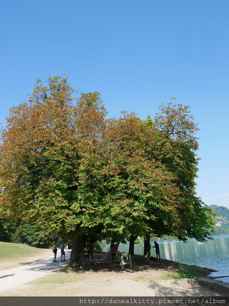 P1010389.JPG P1010389.JPG