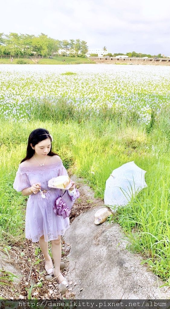 IMG_9906.JPEG IMG_9906.JPEG