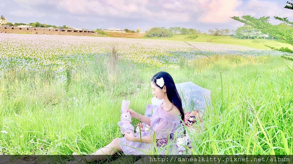 IMG_0107.JPEG IMG_0107.JPEG