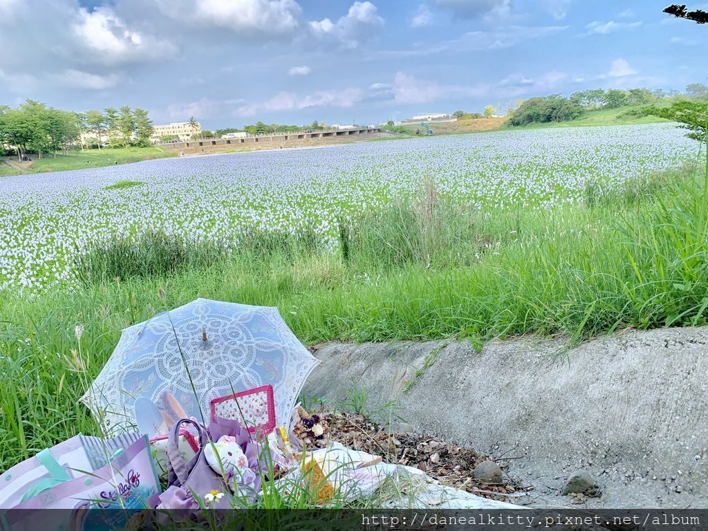 IMG_0484.JPEG IMG_0484.JPEG