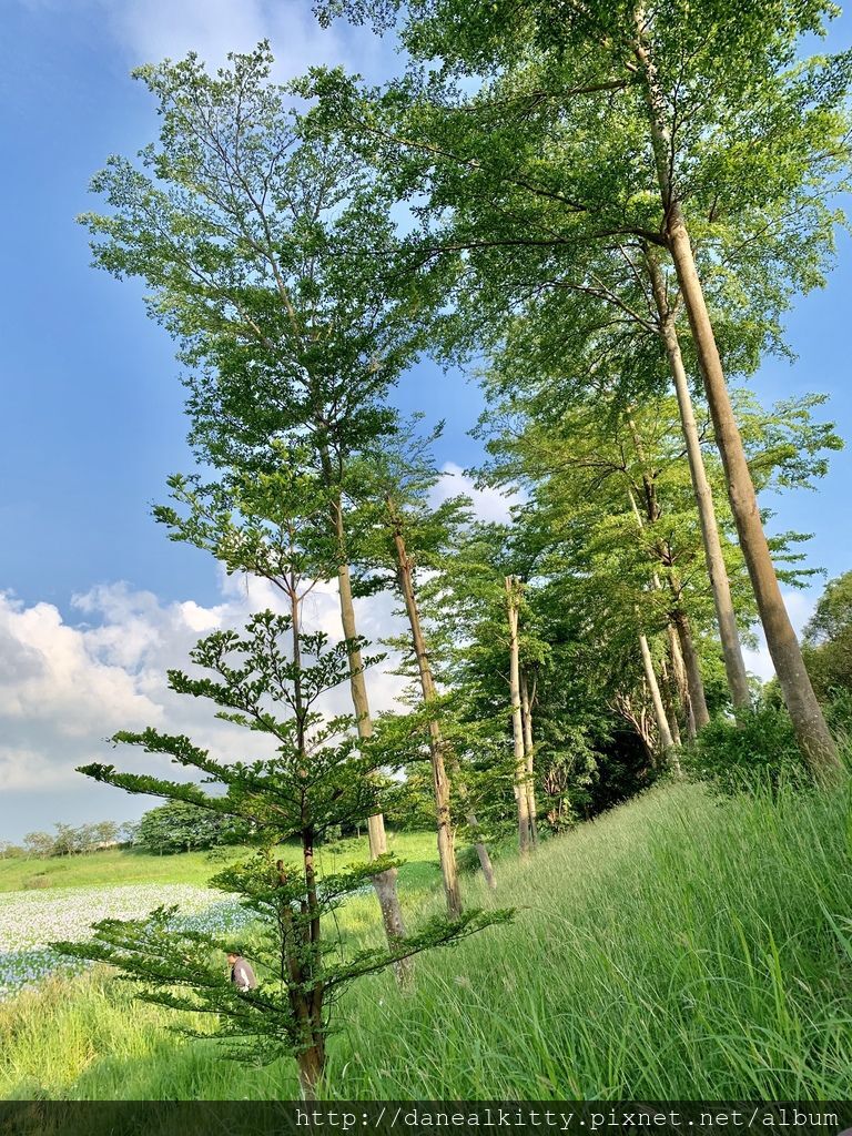 IMG_0539.JPEG IMG_0539.JPEG