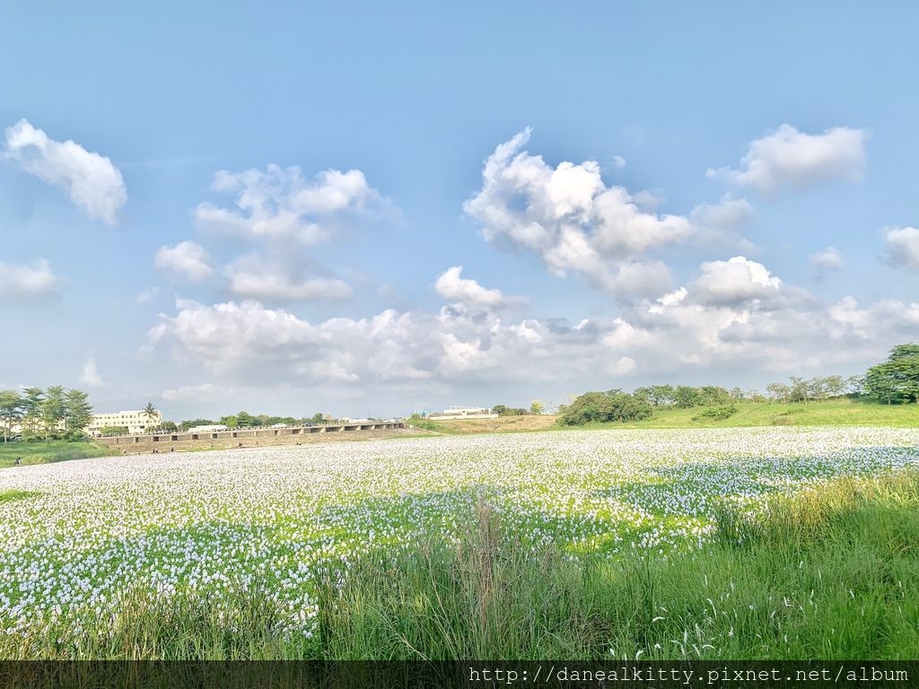 IMG_0571.JPEG IMG_0571.JPEG