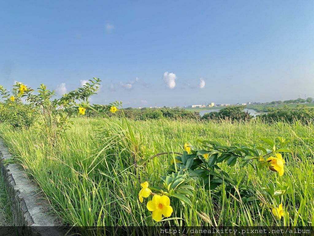 IMG_0584.JPEG IMG_0584.JPEG