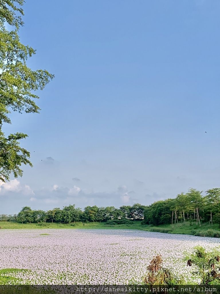 IMG_0587.JPEG IMG_0587.JPEG