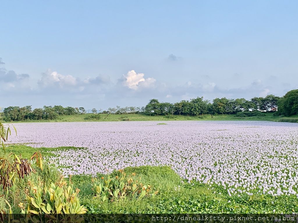 IMG_0588.JPEG IMG_0588.JPEG