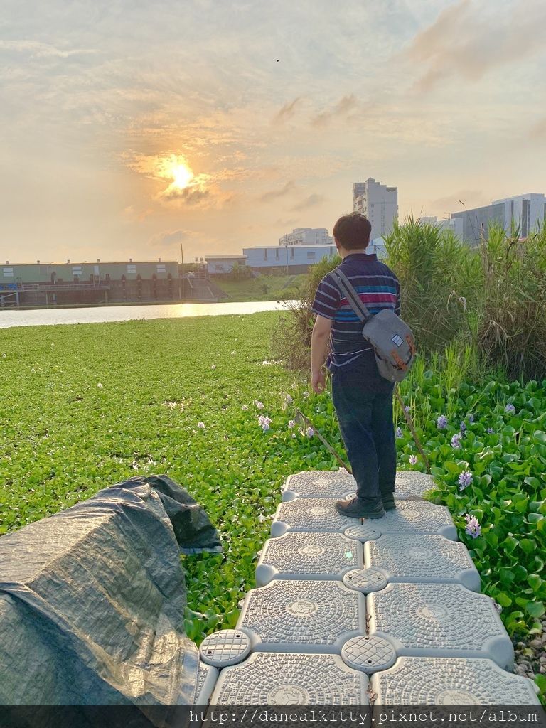 IMG_0633.JPEG IMG_0633.JPEG