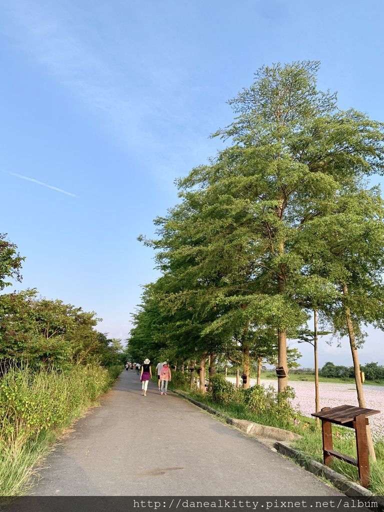 IMG_0634.JPEG IMG_0634.JPEG