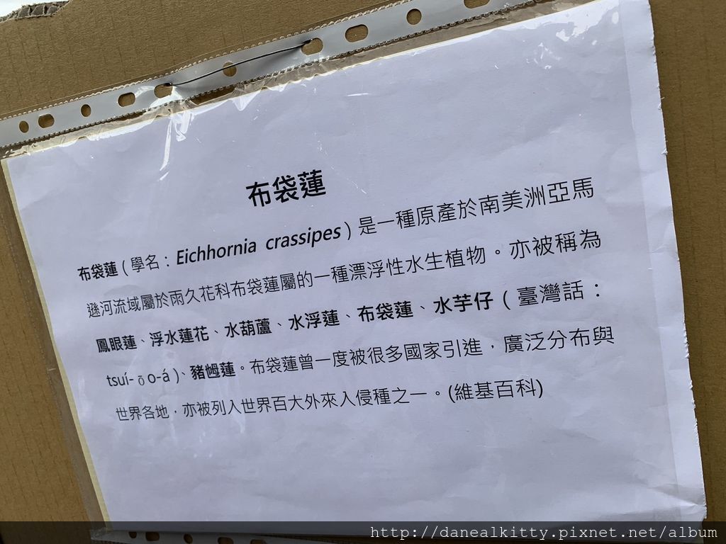 IMG_0637.JPEG IMG_0637.JPEG