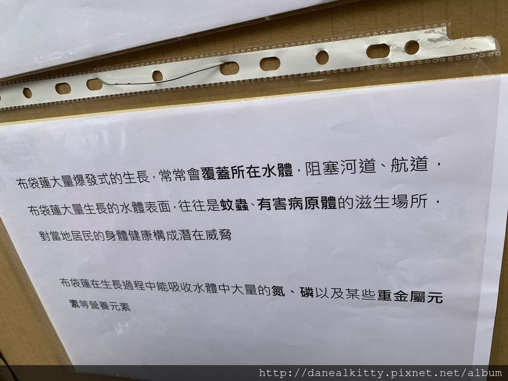 IMG_0638.JPEG IMG_0638.JPEG