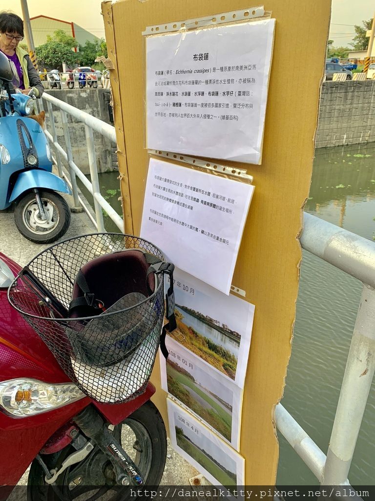 IMG_0639.JPEG IMG_0639.JPEG