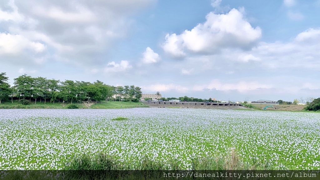 IMG_1129.JPEG IMG_1129.JPEG