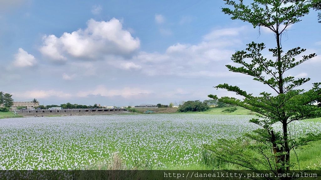 IMG_1135.JPEG IMG_1135.JPEG