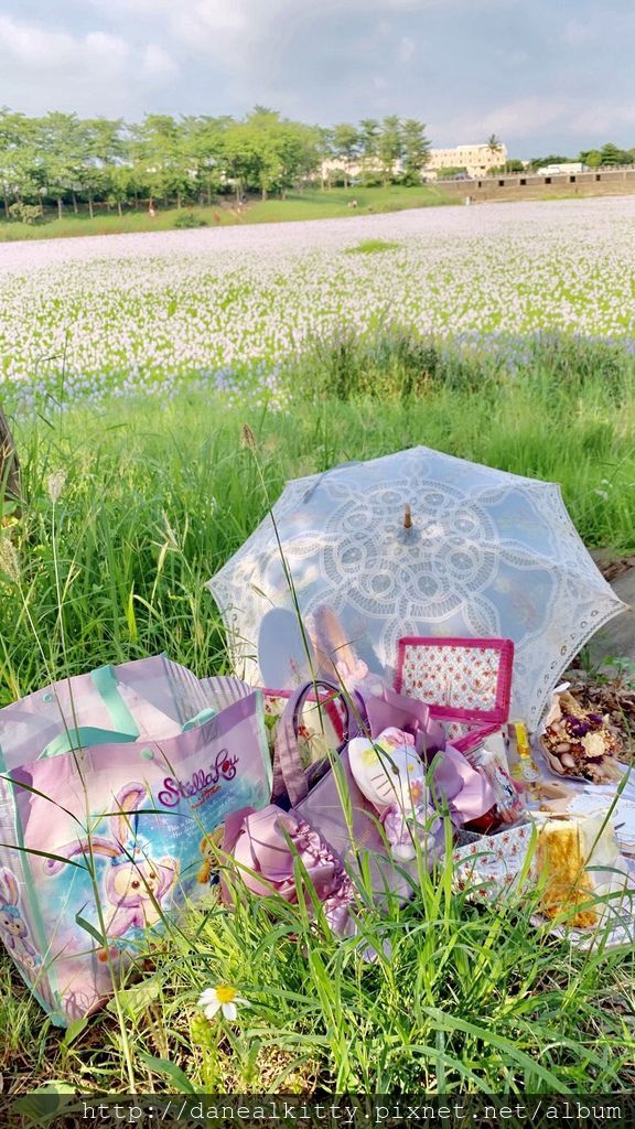 IMG_1642.JPEG IMG_1642.JPEG