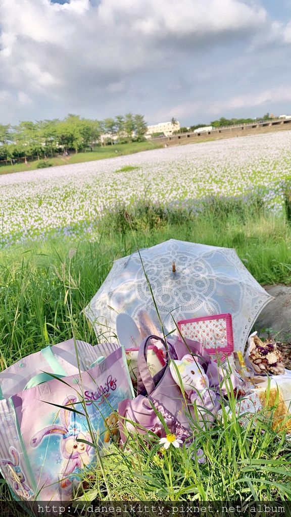 IMG_1661.JPEG IMG_1661.JPEG