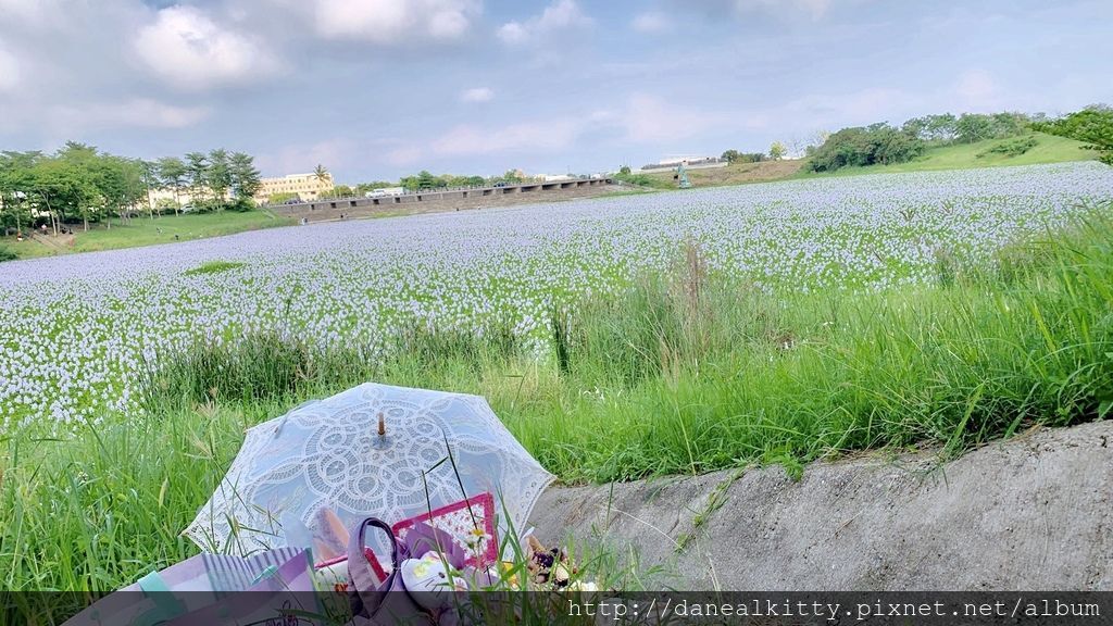 IMG_1797.JPEG IMG_1797.JPEG