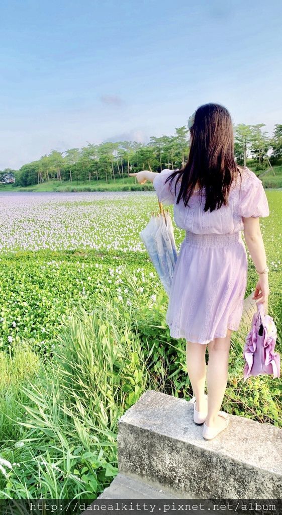 IMG_2183.JPEG IMG_2183.JPEG