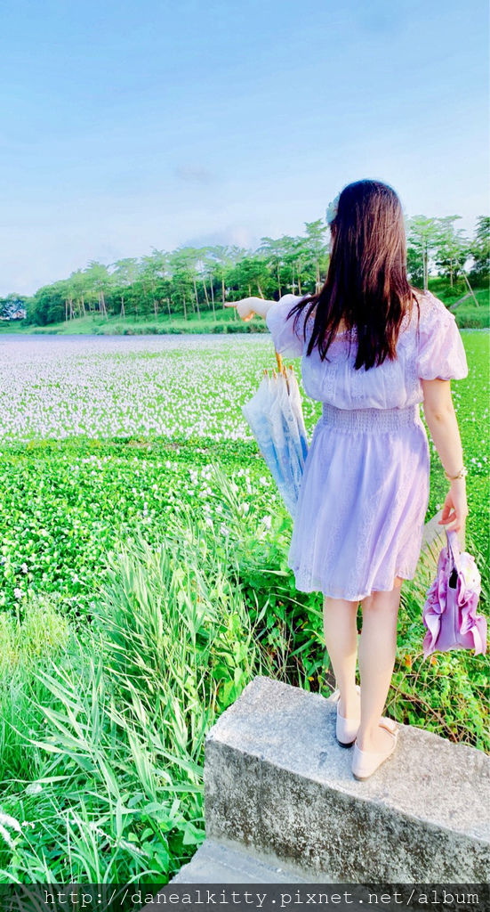 IMG_2252.JPG IMG_2252.JPG