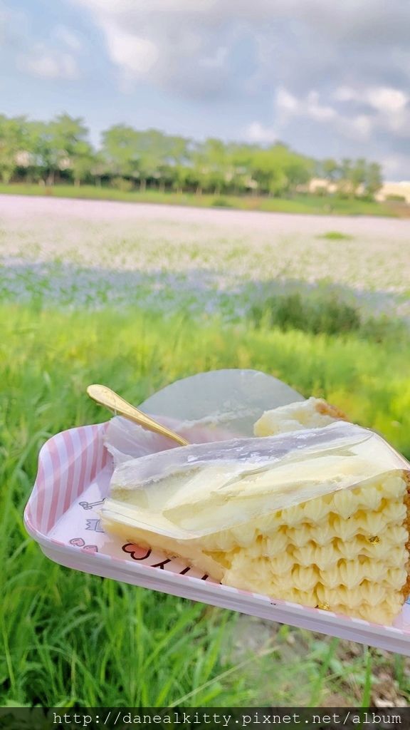 IMG_3388.JPEG IMG_3388.JPEG