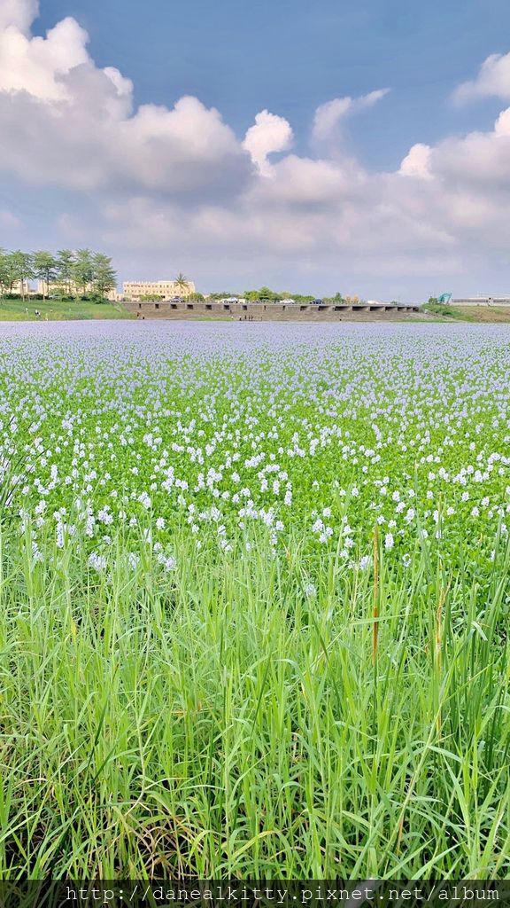 IMG_3765.JPEG IMG_3765.JPEG