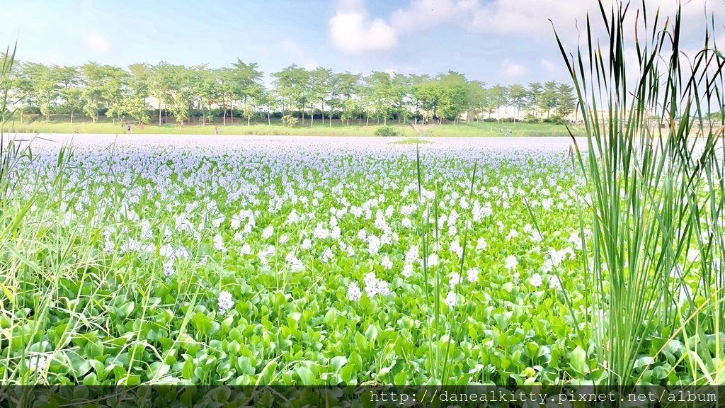 IMG_3804.JPEG IMG_3804.JPEG