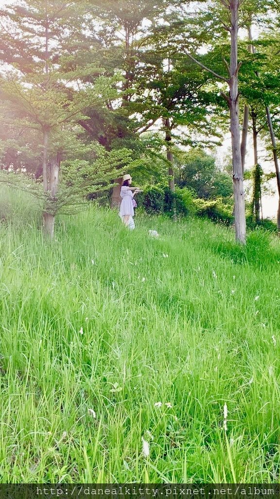 IMG_3901.JPEG IMG_3901.JPEG