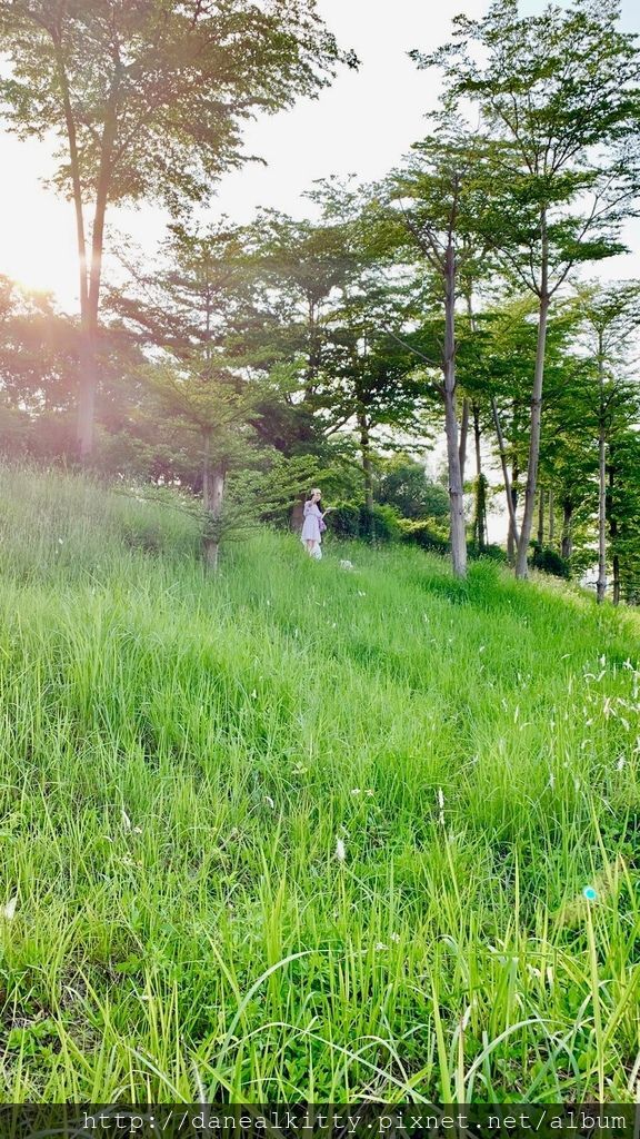 IMG_3907.JPEG IMG_3907.JPEG