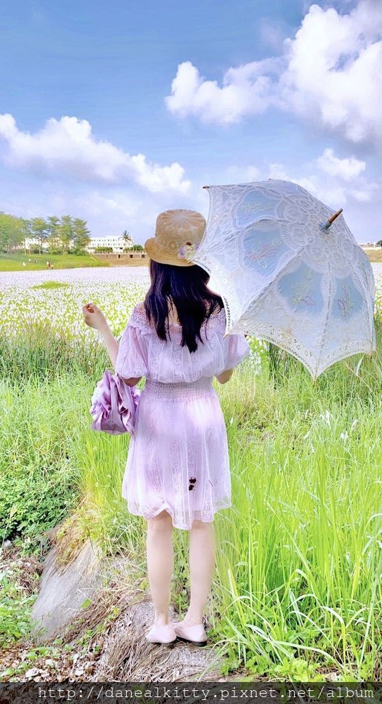 IMG_4732.JPEG IMG_4732.JPEG