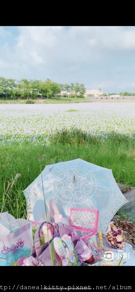 IMG_4866.JPEG IMG_4866.JPEG