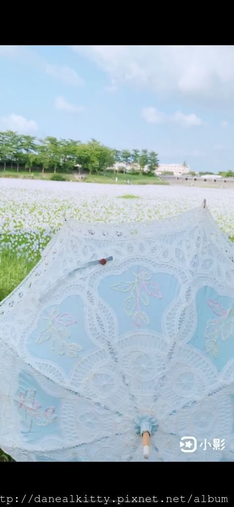 IMG_4868.JPEG IMG_4868.JPEG