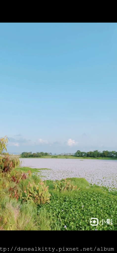 IMG_4871.PNG IMG_4871.PNG