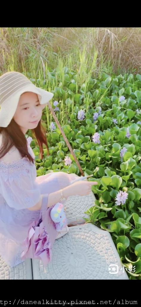 IMG_4943.PNG IMG_4943.PNG