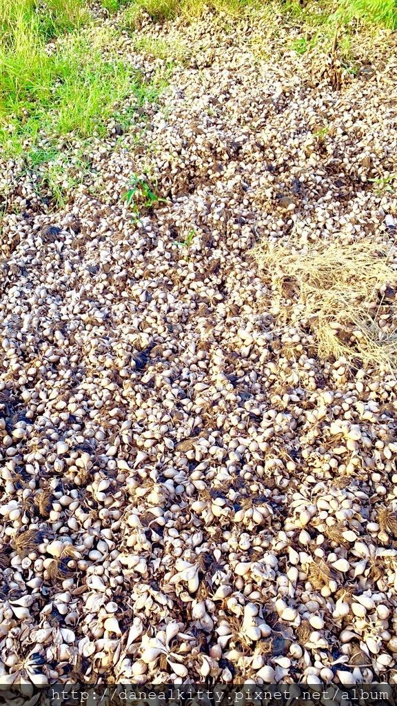 IMG_6324.JPEG IMG_6324.JPEG