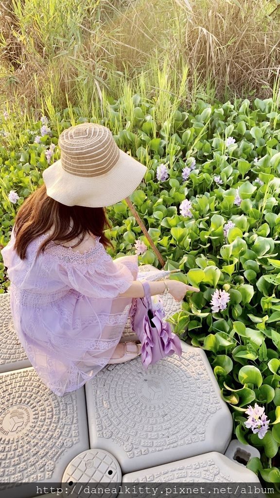 IMG_6465.JPEG IMG_6465.JPEG