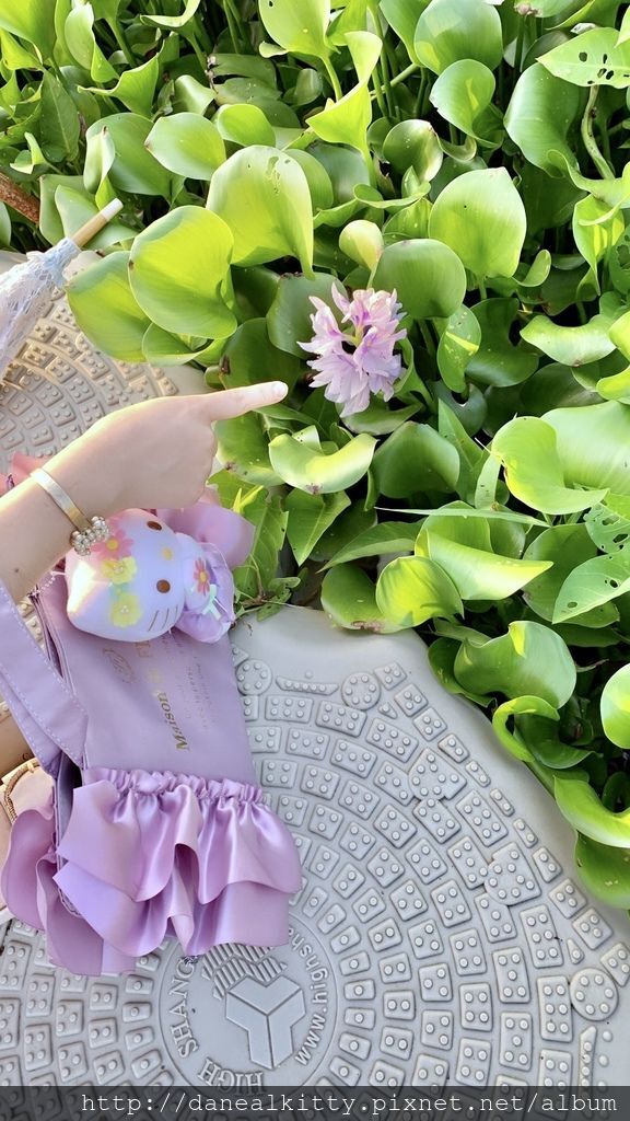 IMG_6484.JPEG IMG_6484.JPEG