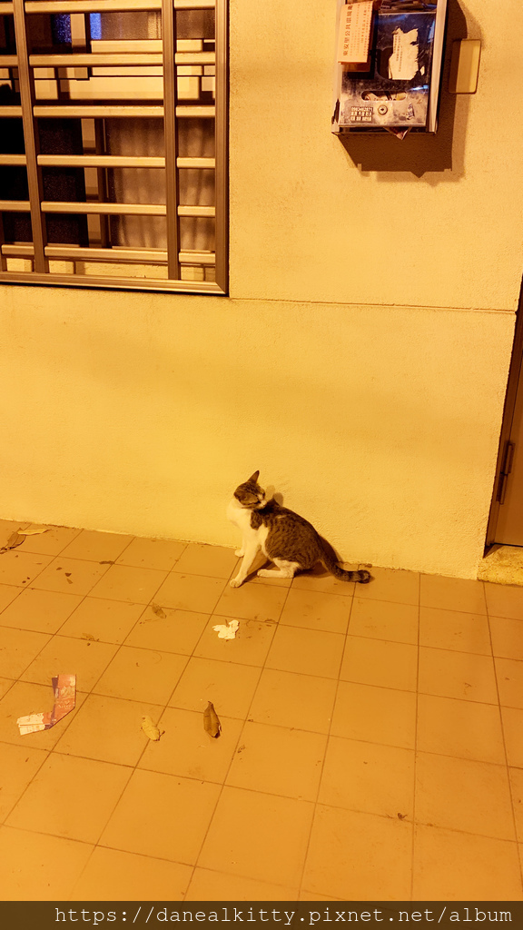 IMG_3697.jpg IMG_3697.jpg