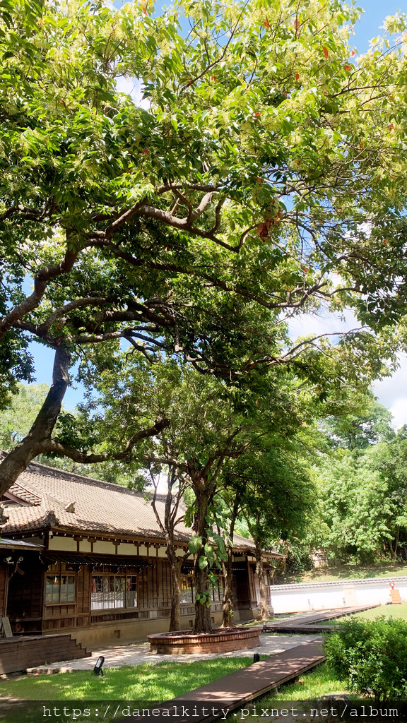 IMG_8095.jpg IMG_8095.jpg