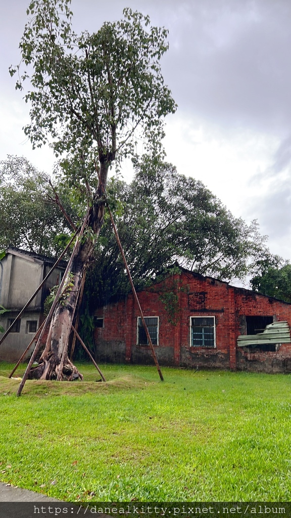 IMG_2569.JPG IMG_2569.JPG