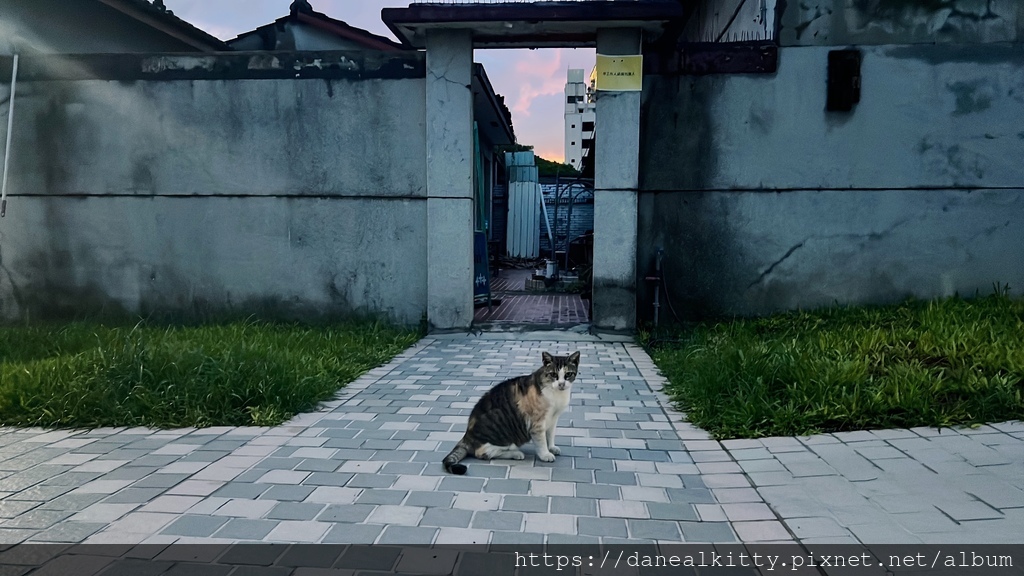 IMG_2681.JPG IMG_2681.JPG