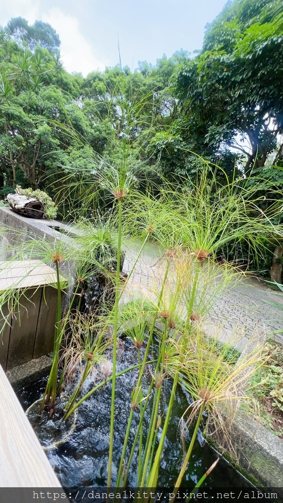 陽明山 ~Navi Garden 納美花園 (浪漫 餐廳 婚