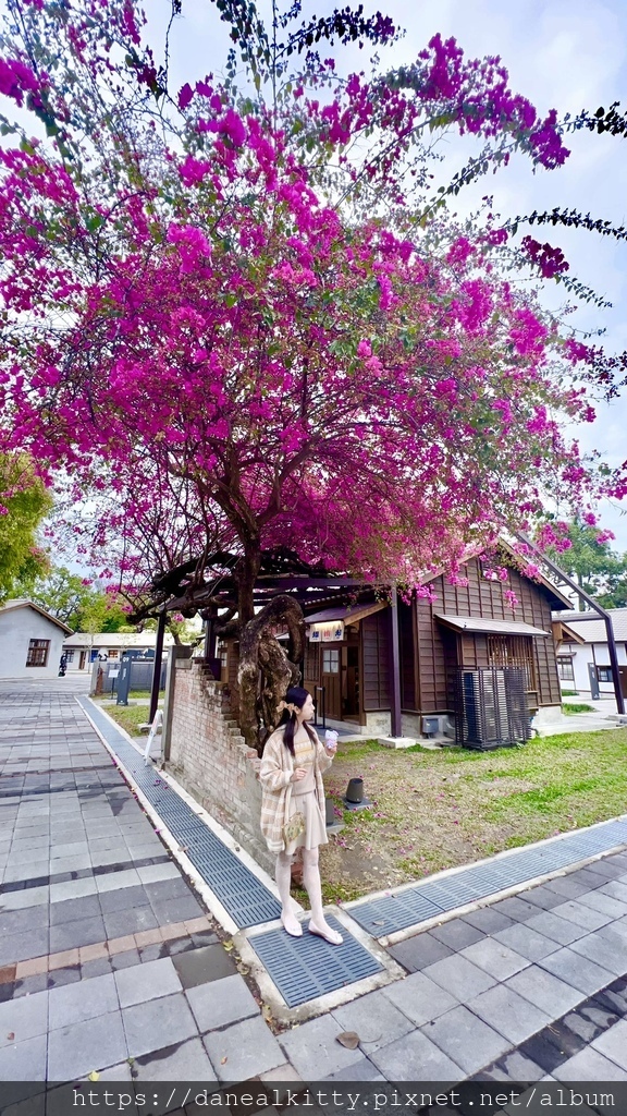 台中~老景點 新風貌~喫茶花覓 Hanami (百年 日式老