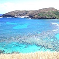 hanauma bay 超美麗 我在這裡跟魚一起游泳