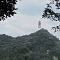 金面山 (44).jpg