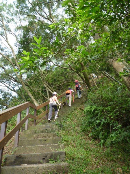 也有這麼像好漢坡的路段