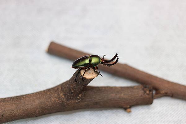 IMG_4005.jpg IMG_4005.jpg